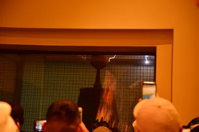 DSC_5651 (Large).JPG